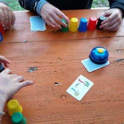 eine Runde Speed Cups.jpg