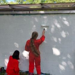 graffitti.jpg