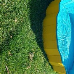 pool.jpeg