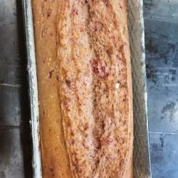 selbstgebackenes Brot.jpg